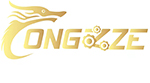 Longzhize Transmission Technology (Jiangsu) Co., LTD